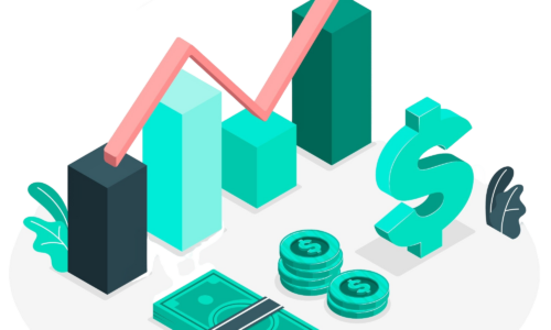 Bachelor of Science in Economics